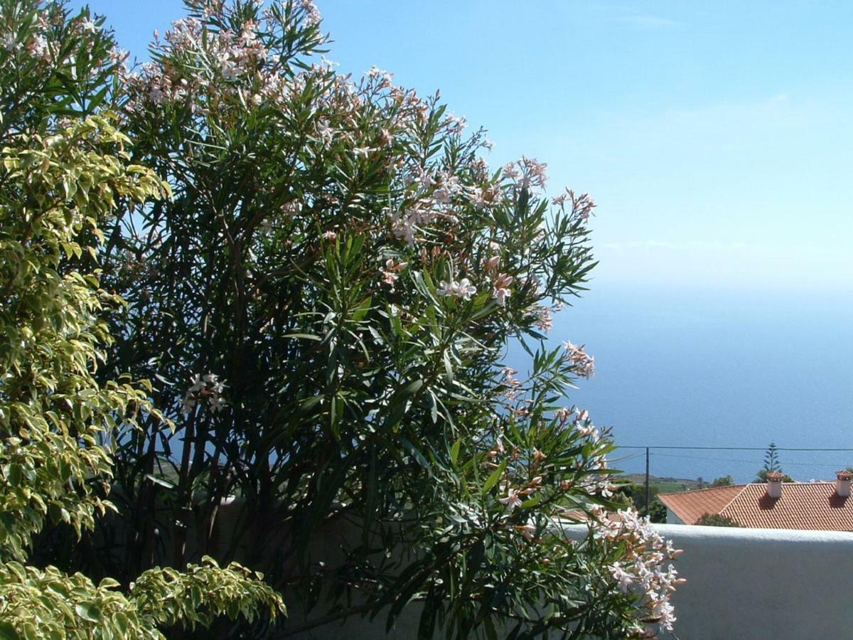 Casa Los Vinedos B Fuencaliente de la Palma Exteriör bild