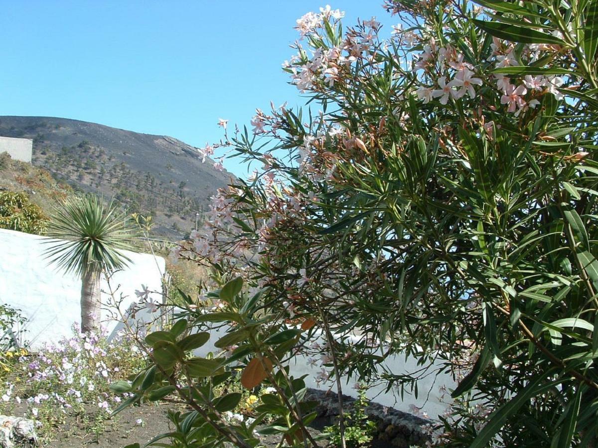 Casa Los Vinedos B Fuencaliente de la Palma Exteriör bild